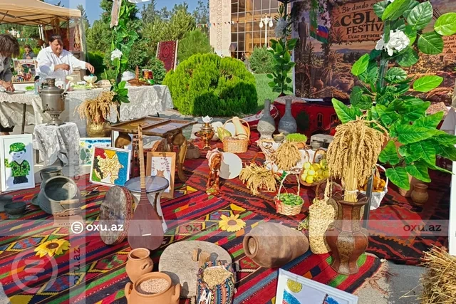 Ucarda Aqrar Biznes və 1-ci Çəltik festivalı keçirilib - Foto/Video