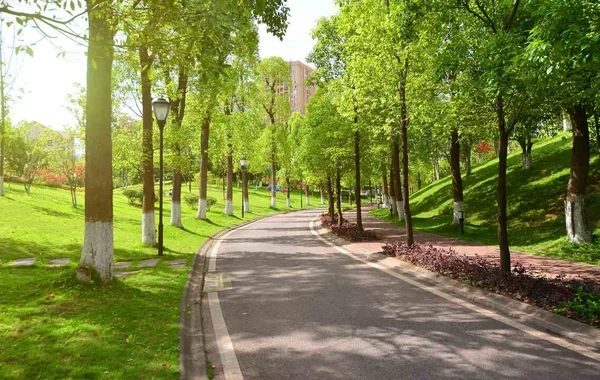 Bakıda yeni park salınır - 35 MİLYON MANAT AYRILDI