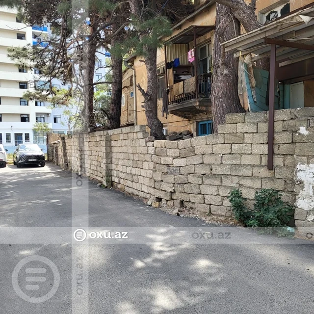 Nizami rayonunda budanmayan ağaclar sakinlərin həyatına təhlükə yaradır - Foto
