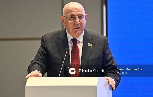 Komitə sədri: "Bütün dövlət proqramları icbari tibbi sığorta ilə qarşılanmalıdır"