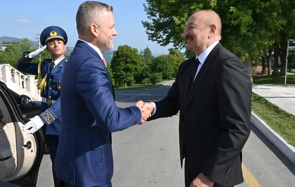 Prezident: "Azərbaycan-Slovakiya siyasi əlaqələri çox yüksək səviyyədədir"