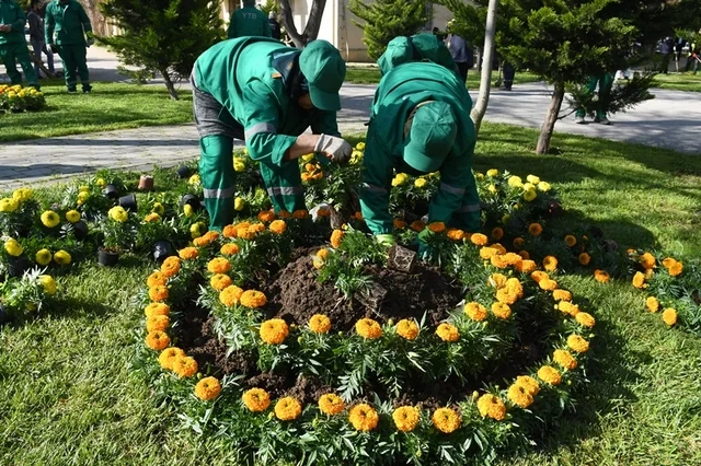 Bakıda böyük təmizlik - FOTO