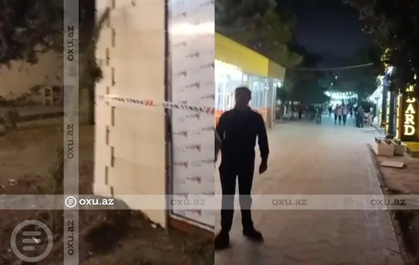 Sumqayıtda ağaclar kəsildi, yerində obyekt tikildi: Nazirlik hərəkətə keçdi - Video