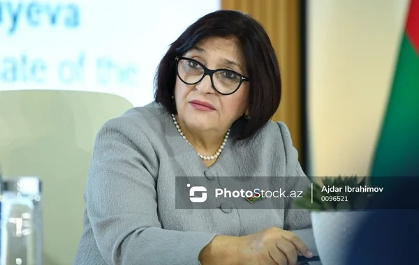Sahibə Qafarova: "Silahlı münaqişələr ekosistemlərə uzunmüddətli ziyan vurur"