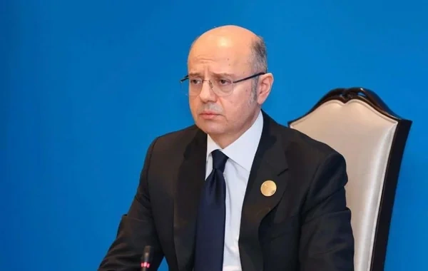 Pərviz Şahbazov: "Naxçıvandan Türkiyəyə bir giqavat elektrik enerjisi ötürüləcək"