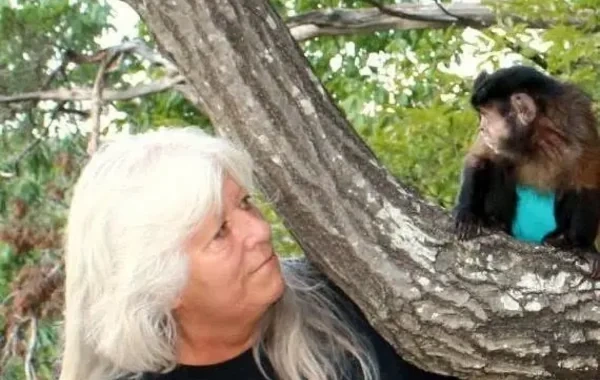 ABŞ-də maraqlı hadisə: Qızını meymuna dəyişən qadına yeddi il şərti cəza - FOTO