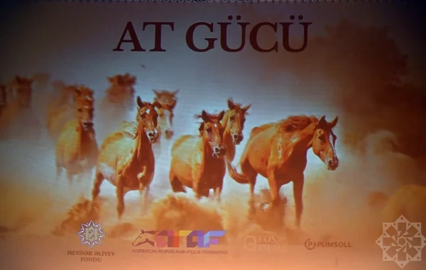 Nizami Kino Mərkəzində "At gücü" sənədli filmi təqdim olunub