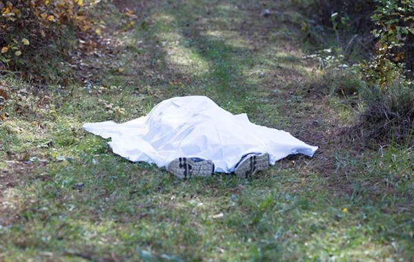 "Başına zərbə vurdum, sonra prokurorluğa gedib təslim oldum" - meşədəki qətlin TƏFƏRRÜATI