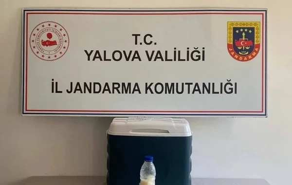 Qeyri-qanuni yollarla Türkiyəyə gətirilən 5 milyon dollarlıq şüşə: İçindən qızıldan bahalı maddə tapıldı - FOTO