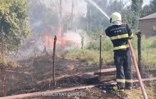 Bərdə rayonunda 800 kvadratmetr ərazidə quru ot və kol-kos yanıb - VİDEO
