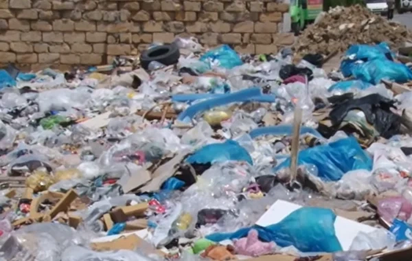 Xırdalanda zibil PROBLEMİ: "Üfunətdən, ağcaqanad əlindən evdə oturmaq olmur" - VİDEO