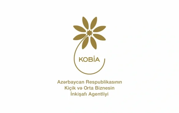 Sahibkarlar 2025-ci ildə daha çox hansı xidmətlərdən istifadə ediblər