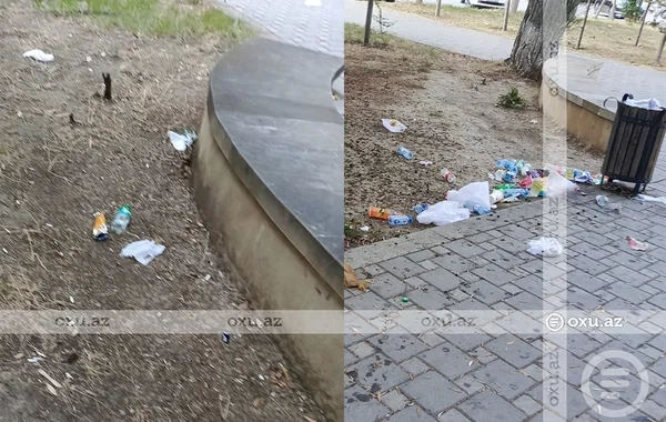 Bakının məşhur parkı baxımsız qalıb - FOTO