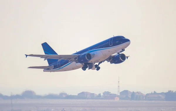 AZAL: "Naxçıvan istiqaməti üzrə reyslər ştat rejimində həyata keçirilir"