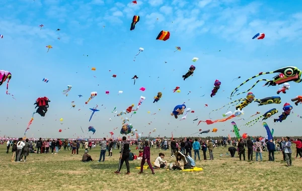 Bakıda ilk dəfə çərpələng festivalı keçirildi - VİDEO