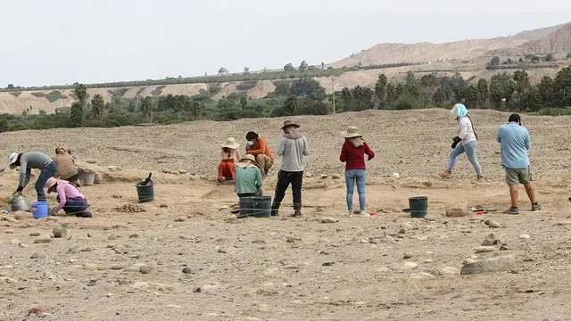 Peruda 500 "yaşı" olan kartof tapılıb