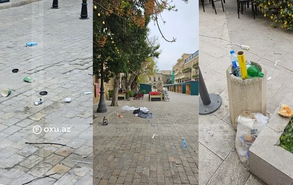 Bayramdan sonrakı səhər: Xalça festivalı necə "zibil festivalı"na çevrildi? - FOTO