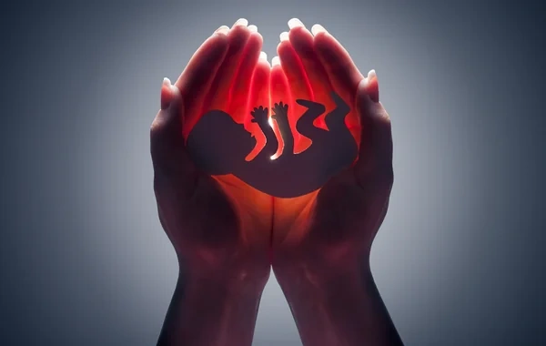 "Xoşbəxtlər ölkəsi"ndə abortların sayı durmadan artır