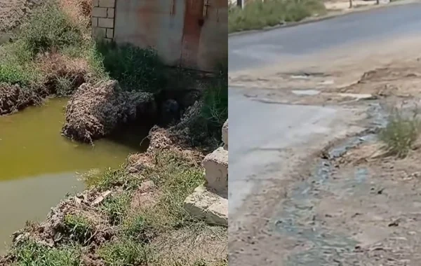 Abşeronun Qobu qəsəbəsində kanalizasiya suyu küçəyə axır - ŞİKAYƏT