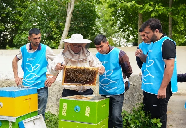 "Gənc arıçı" layihəsi Yevlaxda uğurla yekunlaşıb - FOTO