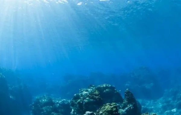 Dünya okeanları rekord səviyyədə isindi: Planeti nə gözləyir?