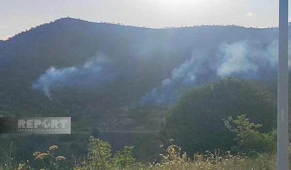 Laçında yaşayış evlərinin yaxınlığında yanğın