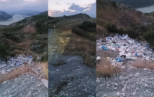 Şamaxıda yol kənarı zibilliyə çevrilib - FOTO
