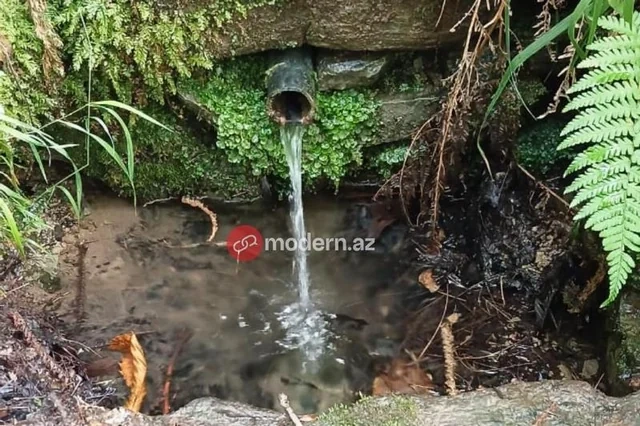 Polad Həşimovun çoxlarının bilmədiyi uşaqlığı - əmisi oğlu ilk dəfə açıqladı - FOTO