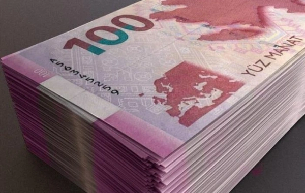 Dövlət agentliyində yoxlama aparılmasına 180 min manat xərclənəcək