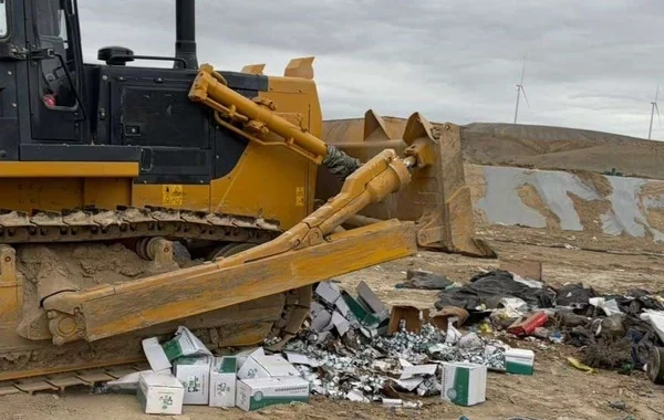 Çindən Azərbaycana gətirilən 8 mindən çox baytarlıq preparatı məhv edildi - Foto