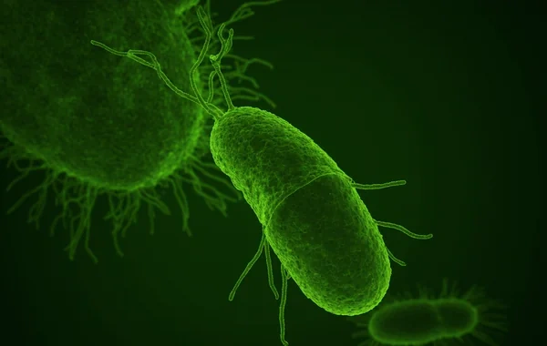 Dünyada hər iki nəfərdən birində rast gəlinən virus mədə xərçəngi riskini artıra bilər
