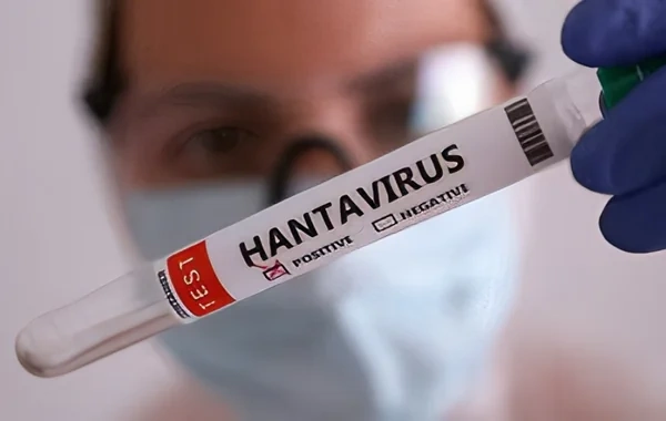 Dünya yeni virusun qorxusu altında: Hantavirus İsrailə də çatdı