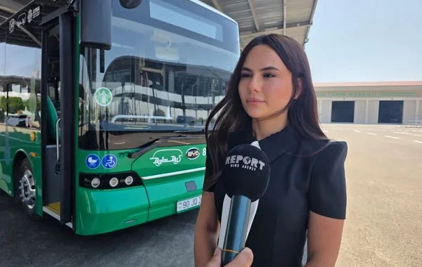 Naxçıvan avtobus parkında 222 nəfər işlə təmin edilib