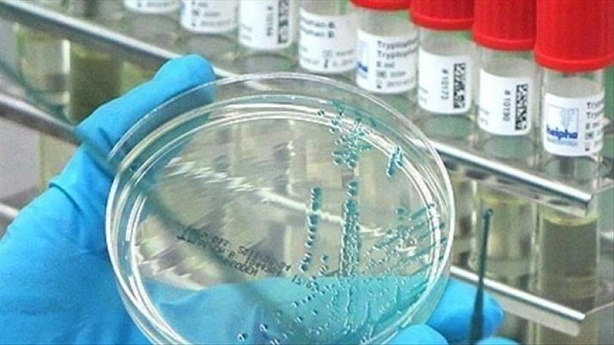 ABŞ-da hantavirus təhlükəsi artır