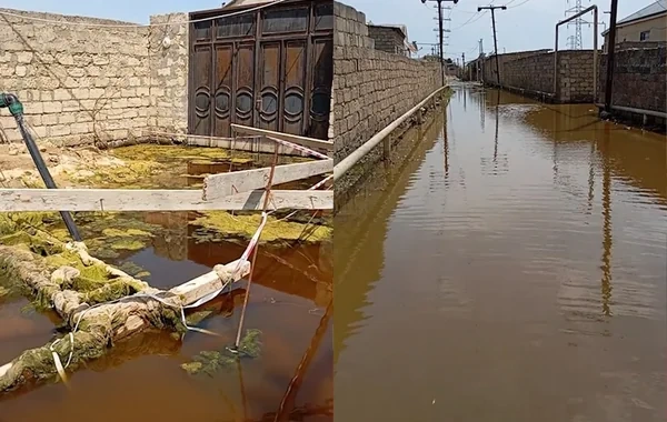 Maştağada dörd aydır həllini tapmayan problem: Çirkab suları içində qalan küçə - VİDEO