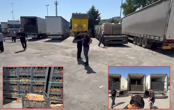Azərbaycanlı sürücülər 15 gündür İranda QALIBLAR: 100 minlərlə manatlıq yük xarab olub - VİDEO