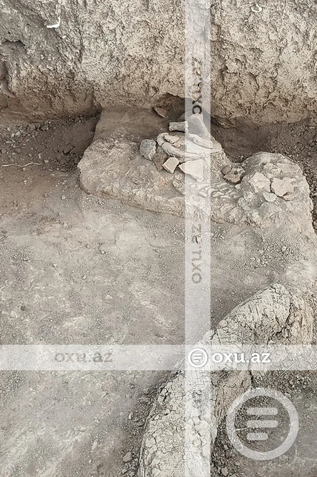 Cəlilabadda sənətkarlıq məhəlləsi AŞKAR OLUNUB - FOTO