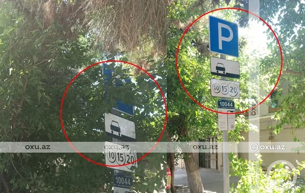 Yasamalda ağacın budaqları yol nişanını örtdü, sürücü cərimələndi - FOTO - VİDEO