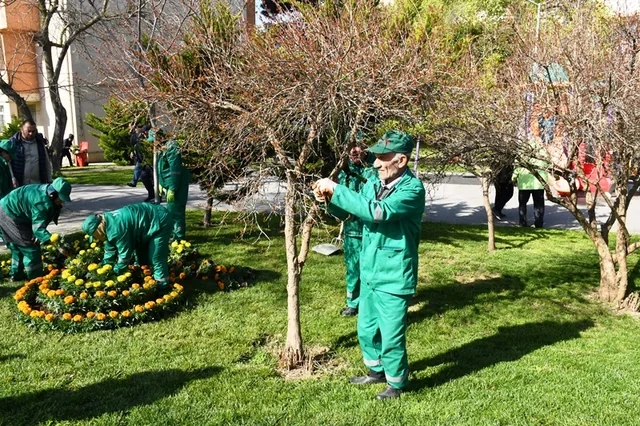 Bakıda böyük təmizlik - FOTO