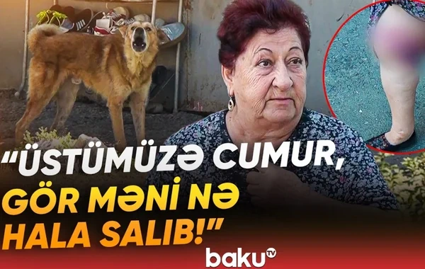 Əhali dəhşət içində yaşamaqdan təngə gəldi: "Bir it hürən kimi digərləri də toplanıb adamın üstünə cumur" - Video