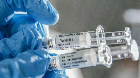 Fransada hantavirusa ilk yoluxma halı qeydə alındı