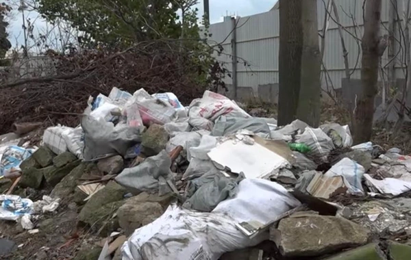 Bakının mərkəzində sakinləri təngə gətirən poblem: "Günün istənilən saatında siçanlara rast gəlmək mümkündür"