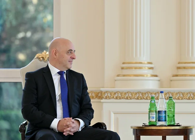 Azərbaycan Prezidenti Gürcüstanın ölkəmizə yeni təyin olunmuş səfirini qəbul edib - Foto