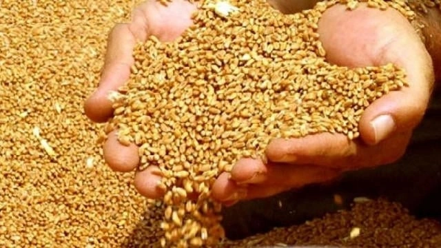 Azərbaycan Rusiyadan buğda tədarükünü 6 dəfə artırdı