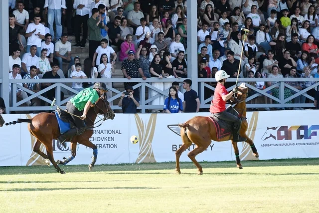 Çövkən üzrə Azərbaycan millisi dünya çempionu oldu