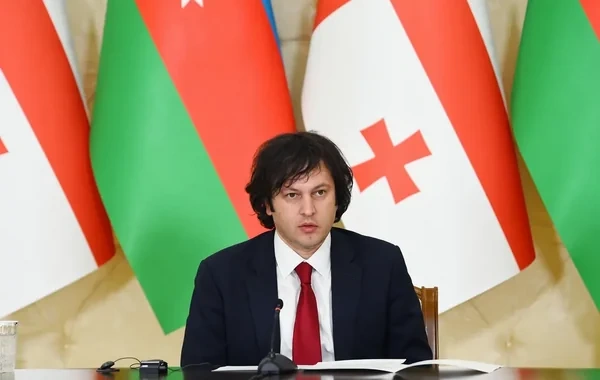 Kobaxidze Azərbaycan Prezidentinin Naxçıvanda verdiyi mesajlara münasibət bildirib