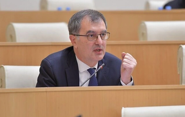 Sozar Subari: "Zəngəzur dəhlizi Gürcüstan üçün çox sərfəli olacaq"