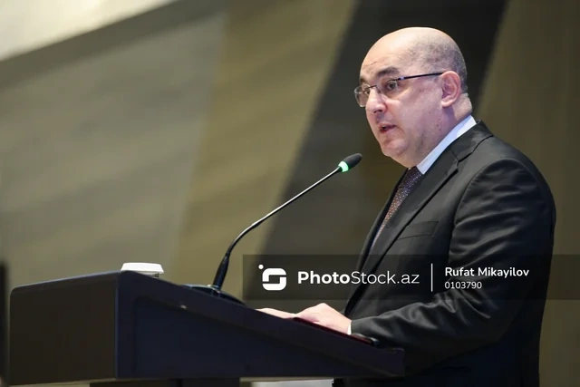 Komitə sədri gömrükdə sahibsiz qalan mallardan DANIŞDI - FOTO