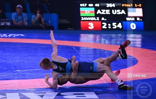 Azərbaycan güləşçiləri dünya çempionatında üç medal qazandılar - FOTO