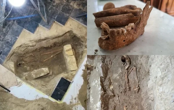Niderlandda d'Artanyanın sümük və dişlərini oğurlayan arxeoloq saxlanıldı
